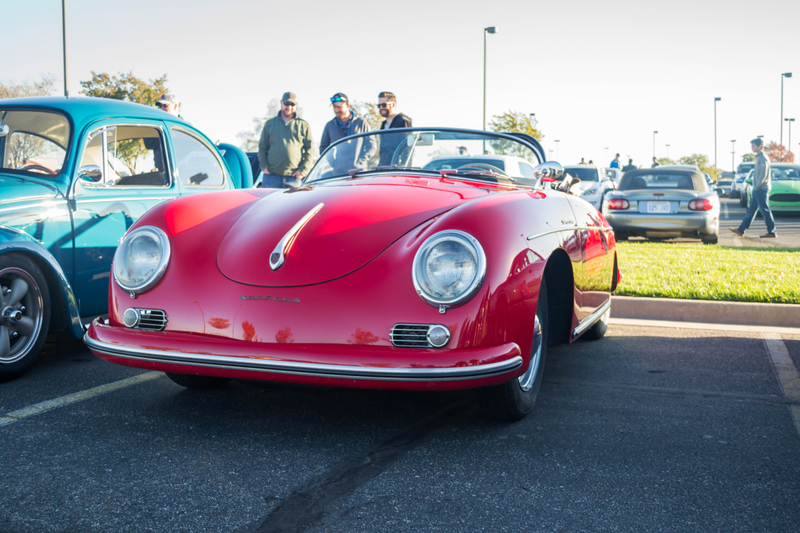 nice beetle